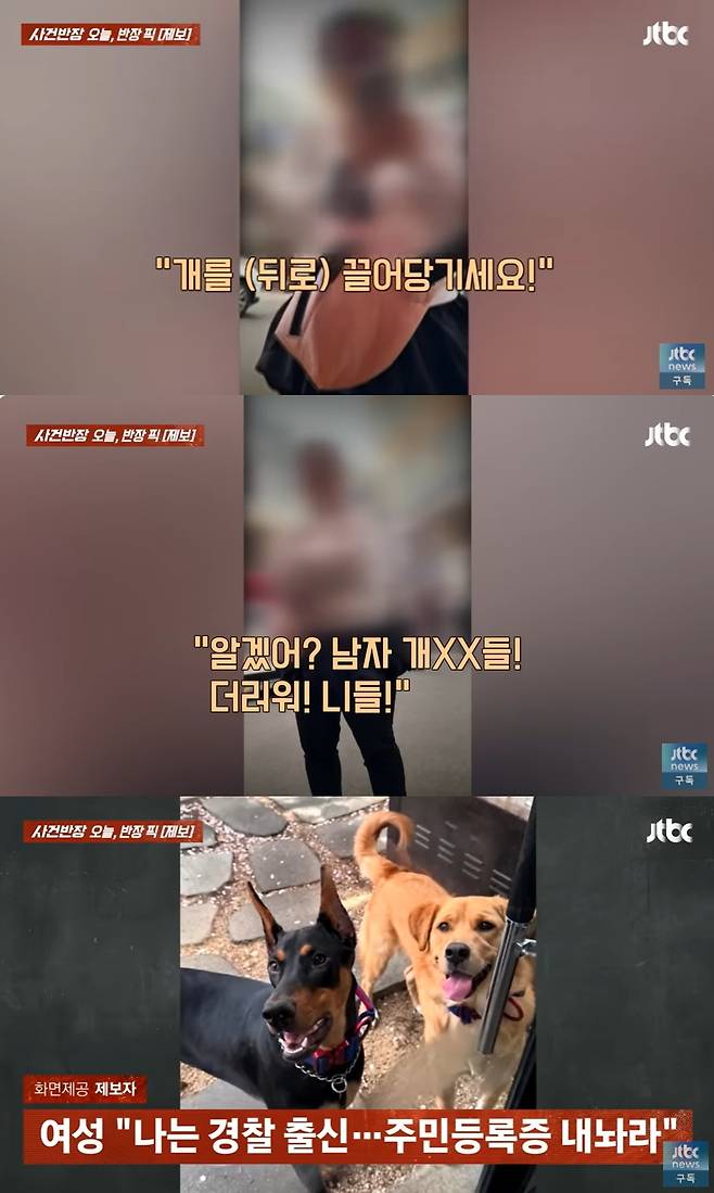 (JTBC '사건반장' 갈무리)