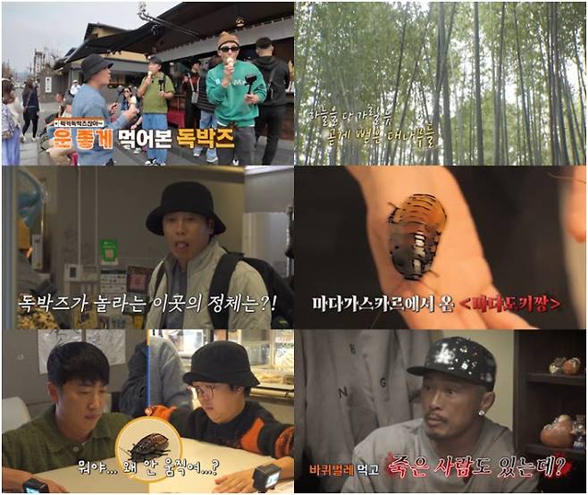 ‘독박투어3’ 바퀴벌레 먹방 (사진: 채널S)