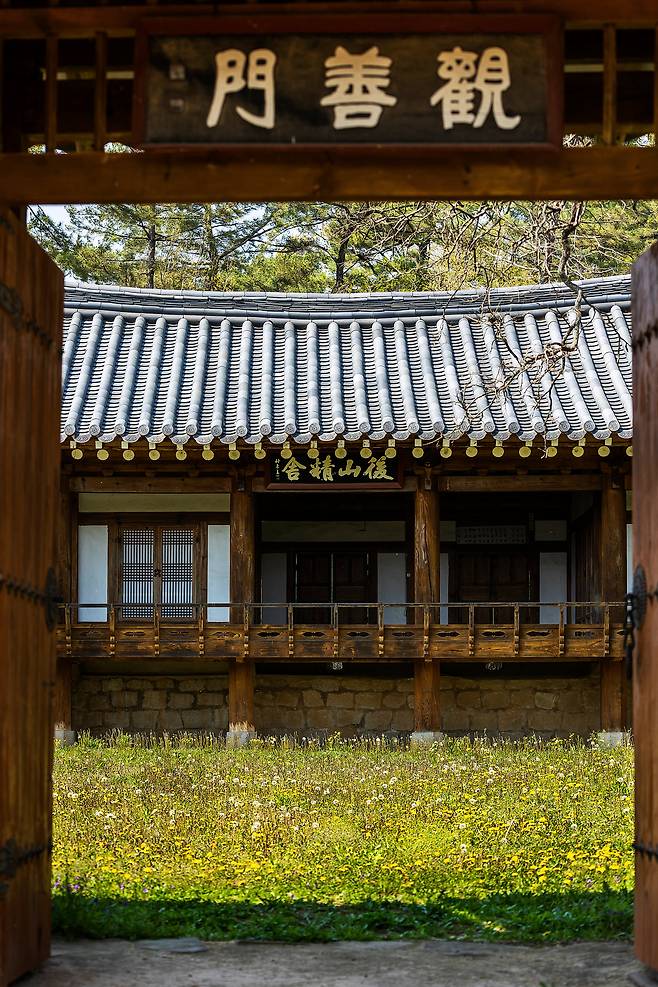 마당에 노란 민들레가 소복하게 깔린 점곡면 사촌마을 '후산정사'. / 양수열 영상미디어 기자