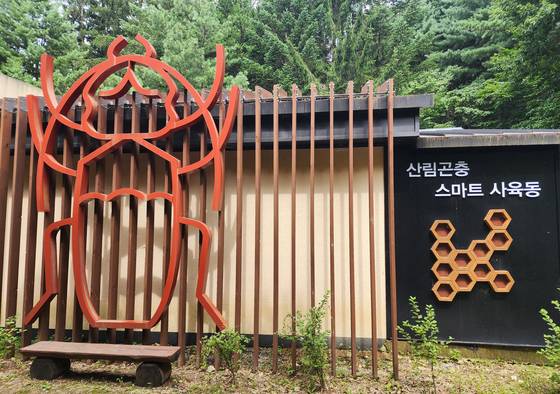 장수하늘소를 복원 중인 국립수목원 산림곤충스마트사육동. 국립수목원 제공