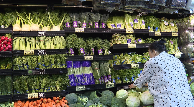 소비자가 슈퍼마켓에서 채소를 고르고 있다. 중남미에서 들여온 채소 가격이 10%가량 올랐다.