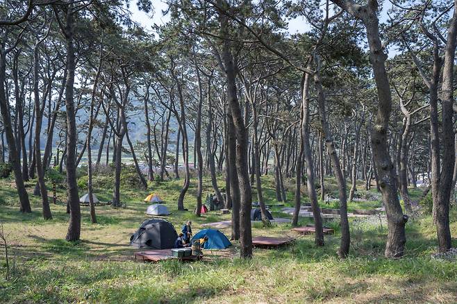 관매도 ‘국립공원 관매도야영장’