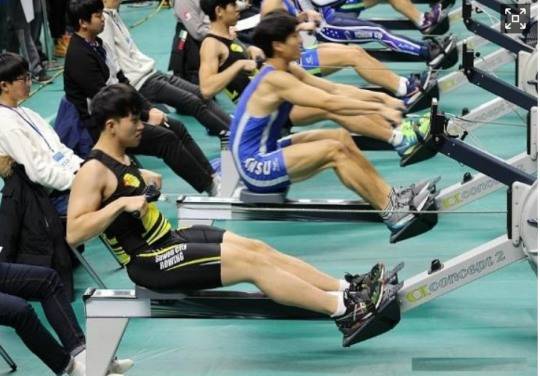 실내조정대회 모습 [대한조정협회 제공]