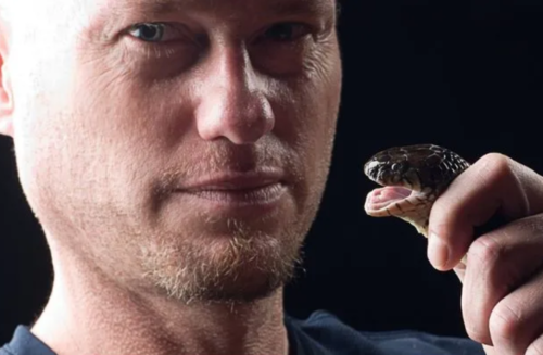 뱀 전문가 팀 프리드가 뱀을 들고 포즈를 취하고 있다.