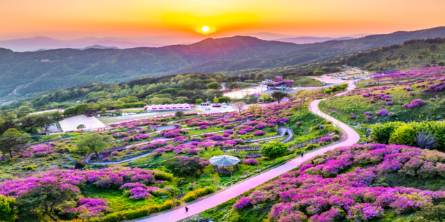 지난해 5월 경남 산청 황매산 철쭉제 모습. 행정안전부