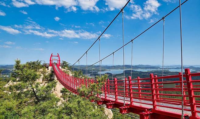 태안 백화산 구름다리.