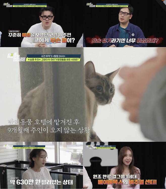 ‘탐비’ 고양이 버리고 사라진 주인?...밀린 호텔비만 630만 원 (제공: 채널A)