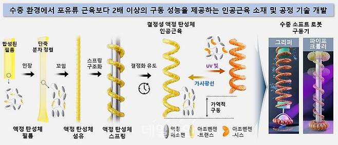 결정성 액정 탄성체 스프링 인공근육 연구 개괄도. ⓒ한국화학연구원