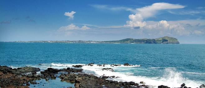 99b983892094b5c6d2fc3736e15da7d1_1.jpg 제주 가성비 여행 방법 - 서귀포편 펌) 제주도 여행 가성비로 가는 법 (서귀포)