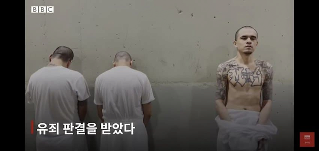 image.png 엘살바도르 초대형 교도소 \'세코트\'