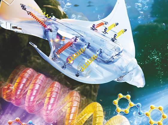 관련 연구논문은 국제저널 ‘Small’ 2025년 2월호에 실렸다. [사진=화학연]