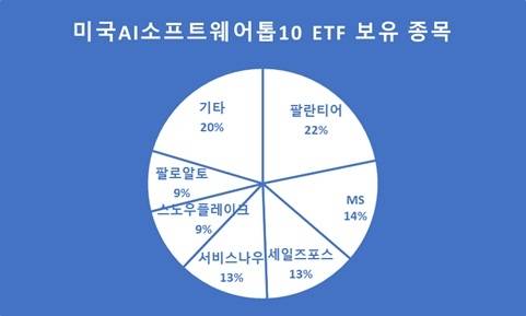 미국AI소프트웨어TOP10 주요 보유 종목. <자료=삼성증권>