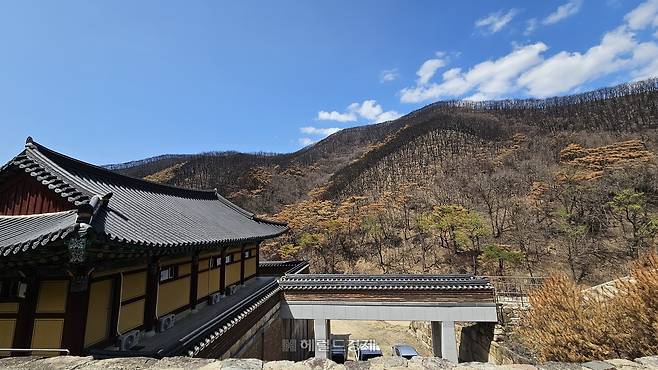 고운사 화엄승가대학원