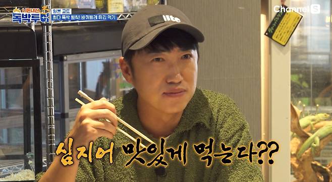 채널S, SK브로드밴드, K·star, NXT 공동 제작 ‘니돈내산 독박투어3’