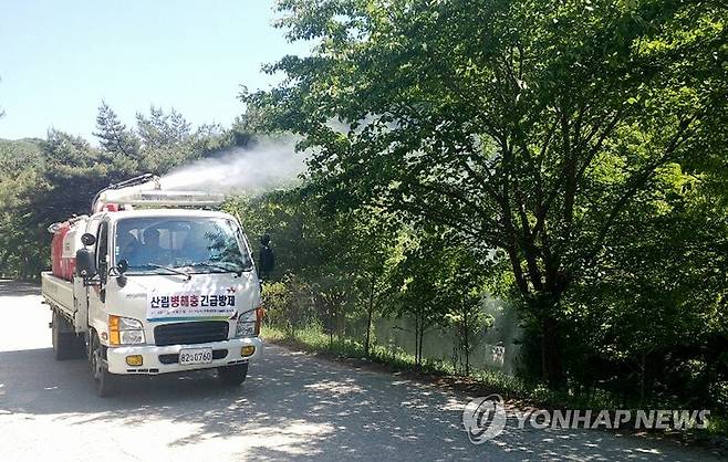 병해충 방제 [연합뉴스 자료 사진]