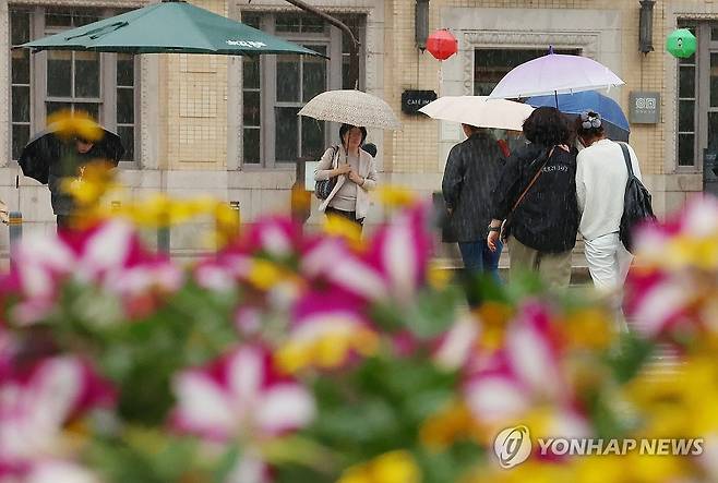 봄비 (서울=연합뉴스) 김도훈 기자 = 전국적으로 비가 내린 1일 서울 종로구 세종로사거리에 심어진 화단 뒤로 우산을 쓴 시민들이 길을 지나고 있다. 2025.5.1 superdoo82@yna.co.kr