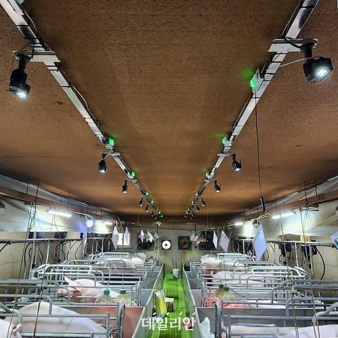 딥아이즈 현장 적용 모습. ⓒ엠트리센