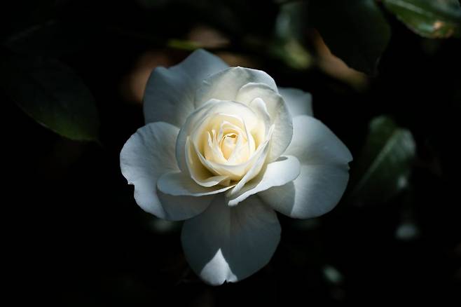 0490f719b4846efe20b5c6b011f11a390c9068a5471abf9b86dd