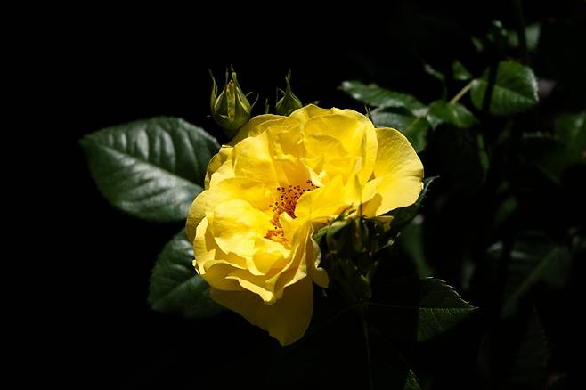 7fed8272b58769fe239e81e14686766fa16b5b342ad60805b556366e4f277d29acff8a