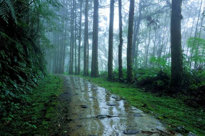 게티이미지뱅크 제공