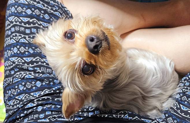 20250504_213401.jpg 저녁 아들 연습경기라 와이프 생일 기념 피자 치킨 배달ㅋㅋㅋ