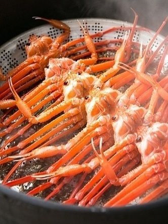 님들 어린이 날인데 스팀게임 추천좀