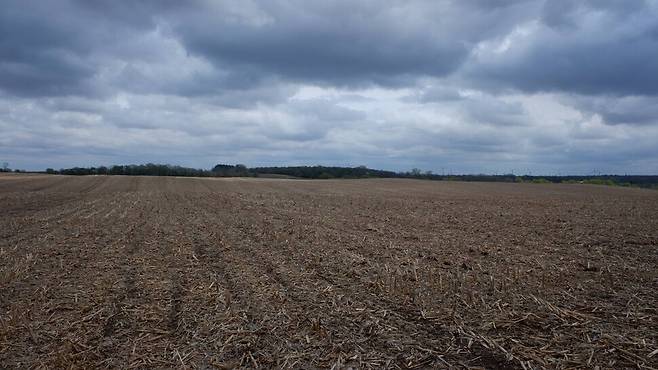 미국 아이오와주 주도 디모인 북쪽에 위치한 인구 4천여명 소도시 햄프턴은 끝없는 평야에 둘러싸여 있다. 따뜻하고 습한 여름과 비옥한 토양 덕분에 세계 최고 수준의 옥수수·대두 생산지로 꼽힌다. 2일(현지시각) 한겨레가 찾은 에이프릴 헤미스의 농장도 끝없이 이어진 평야 가운데 있었다. 햄프턴/김원철 특파원