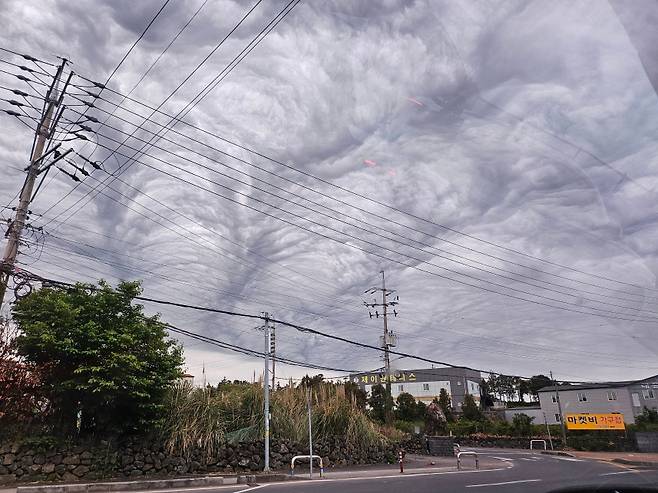 오늘(5일) 낮 제주시 곳곳에서 '거친물결구름'으로 추정되는 구름이 관측됐다. (시청자 제보)