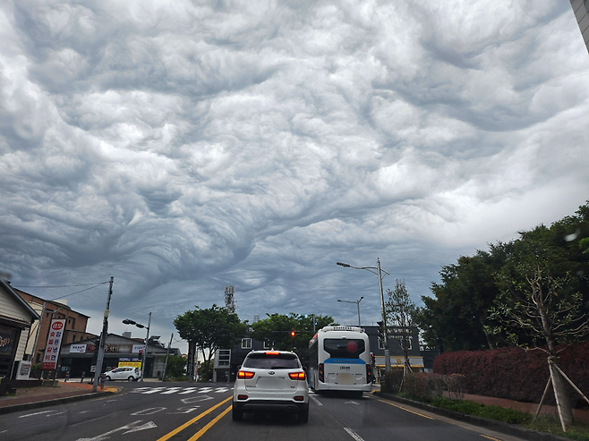 오늘(5일) 낮 제주시 곳곳에서 '거친물결구름'으로 추정되는 구름이 관측됐다. (시청자 제보)