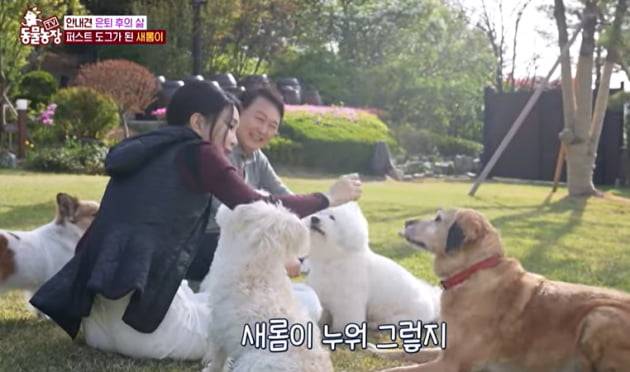 (SBS 동물농장 화면 갈무리)