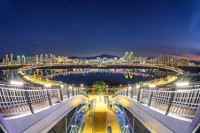 [세종=뉴시스] 이응다리 야경 전경. (사진=세종시 제공).photo@newsis.com *재판매 및 DB 금지