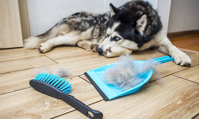 사진=게티이미지뱅크 제공