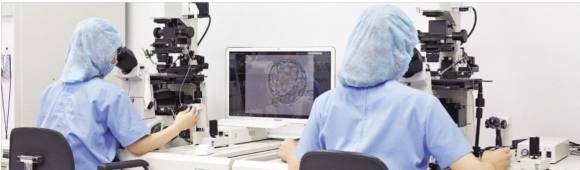 저출산 시대 난임 부부가 많아지면서 난임 치료 건수도 늘어나고 있다. 국내 난임 센터들의 임신 성공률은 20~70%로 편차가 크다. 사진은 차병원 차 여성의학연구소 난임 연구실에서 임상배아 연구원들이 난임 치료 기술을 연구하는 모습. 서울신문 DB