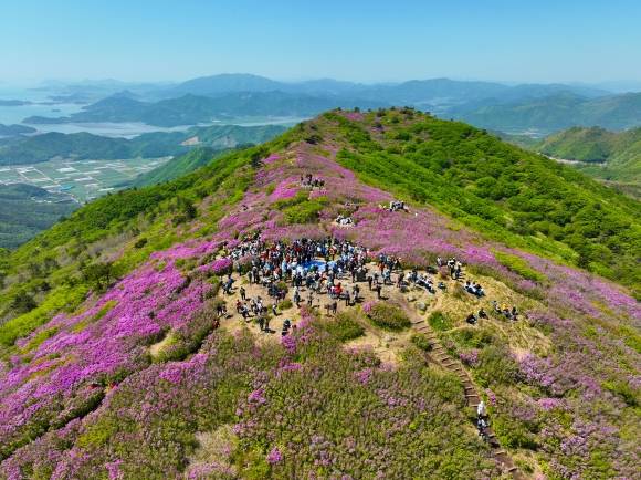 5만여명의 발길을 이끈 ‘일림산 철쭉문화행사’에서 관광객들이 산 능선을 따라 움직이고 있다.