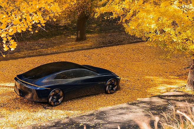 인피니티 비전 Qe