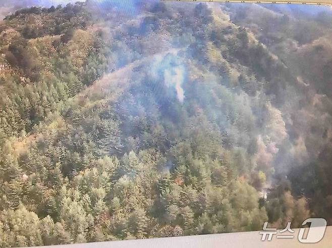 6일 강원 평창 대관령면 산불 현장.(강원도소방본부 제공, 재판매 및 DB 금지) 2025.5.6/뉴스1
