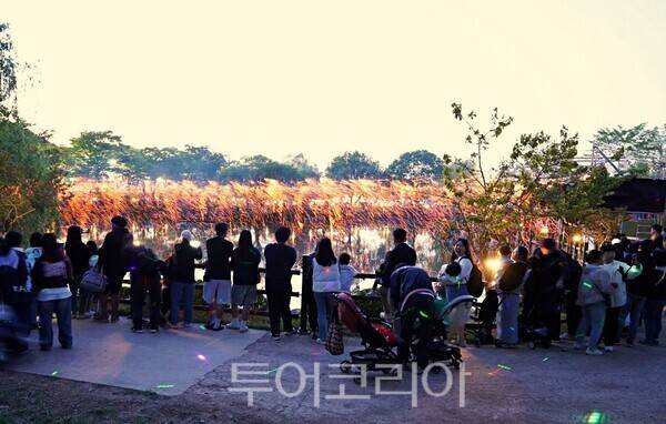 낙화놀이 인파 북적/ 사진=행남군