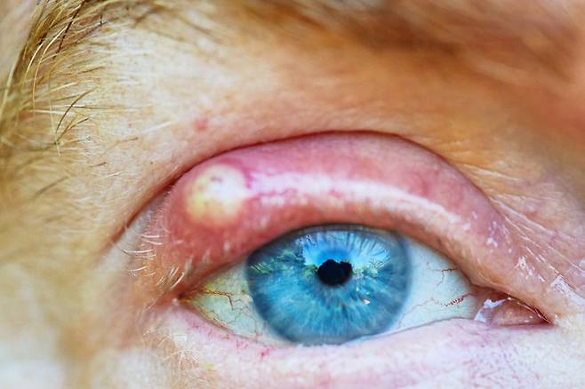 게티이미지뱅크.