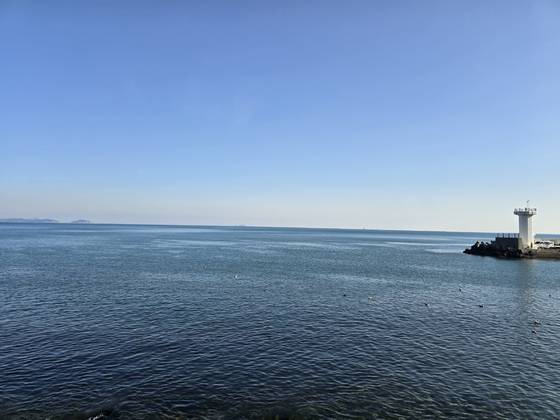 가덕도 공항 활주로 부지. 강갑생 기자.