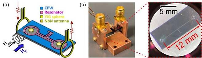 초전도 회로 기반 마그논-광자 하이브리드 시스템. (a)실리콘 기판에 제작된 NbN 초전도 공진기 회로와 구형 YIG 자성체(지름 250㎛)를 결합하고, 수직 안테나를 통해 마그논을 생성, 실시간으로 측정함. (b)실제 소자 사진. 두 YIG 구체 간의 거리는 12㎜로, 초전도 회로 없이는 서로 영향을 줄 수 없는 수준의 거리임. KAIST