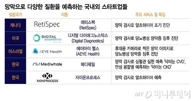 망막으로 다양한 질환을 예측하는 국내외 스타트업들/그래픽=이지혜