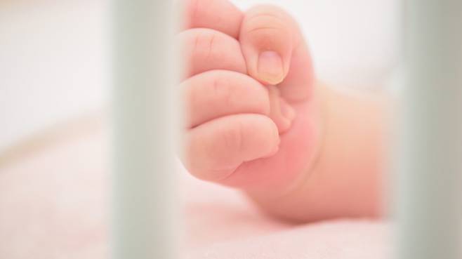 [게티이미지뱅크]