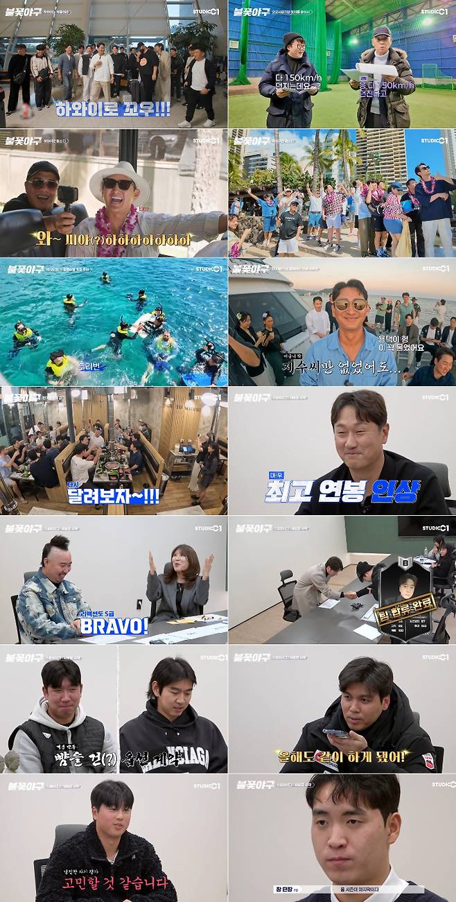 스튜디오C1 제공