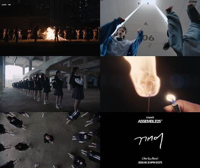 모드하우스 제공