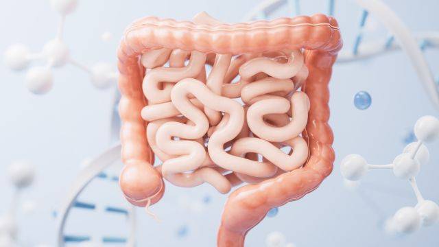 장은 '제2의 뇌'로 불린다|출처: 클립아트코리아