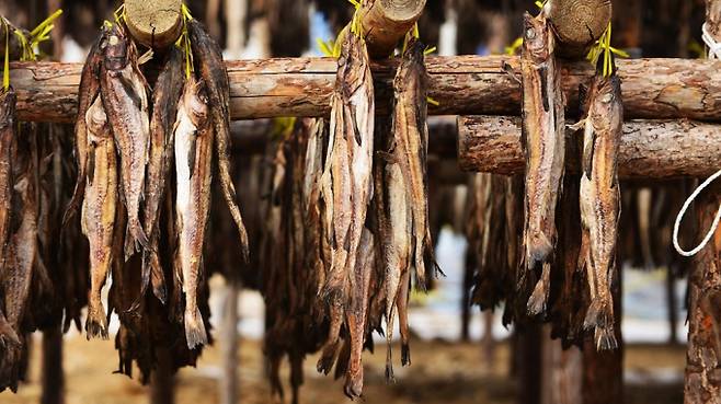 이정재도 극찬한 황태, 간 기능부터 노화 방지까지 ‘최고 보양식’ (사진: 픽사베이)