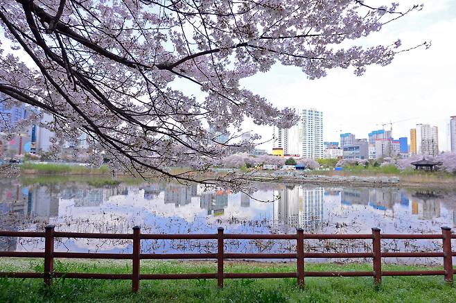 맑은 광주 날씨 모습. /뉴스1