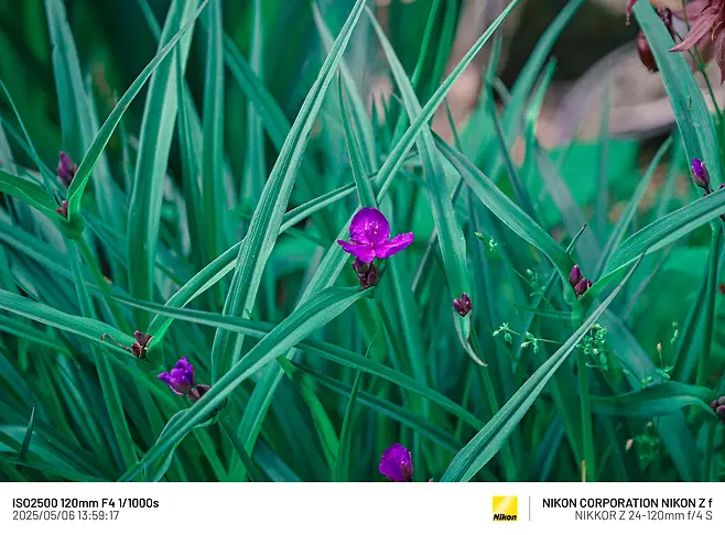 7cea8470b0816af03ce984ed4e9c7773d2eef3dd52382ada9fdb7a579851548fe6