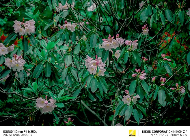 7cea8470b0816af03ce984ed4e9c756c57fa06a9b3126e14cd15e0de8c4fbc6f7d64