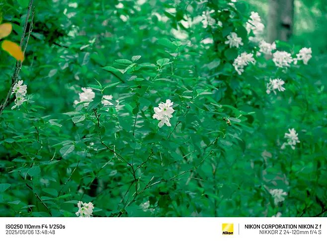 7cea8470b0816af03ce984ed4e9c7c738d604ddf6775aa03271a3fc5c57c1084ab